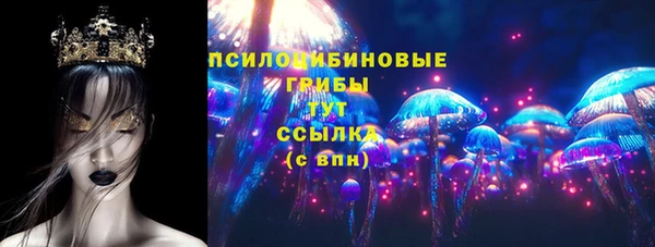 шишки Ростов