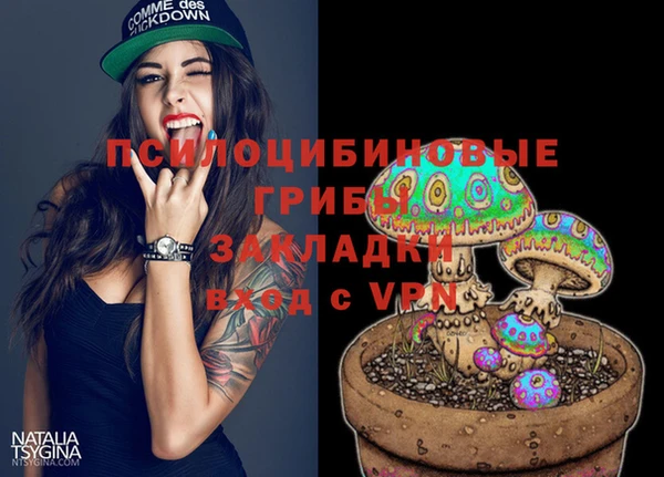 винт Рославль