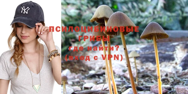 шишки Ростов